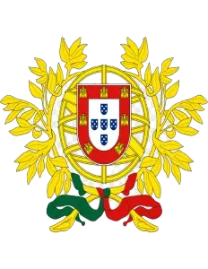 portugal flybridgeglobal background removed.com copy.webp